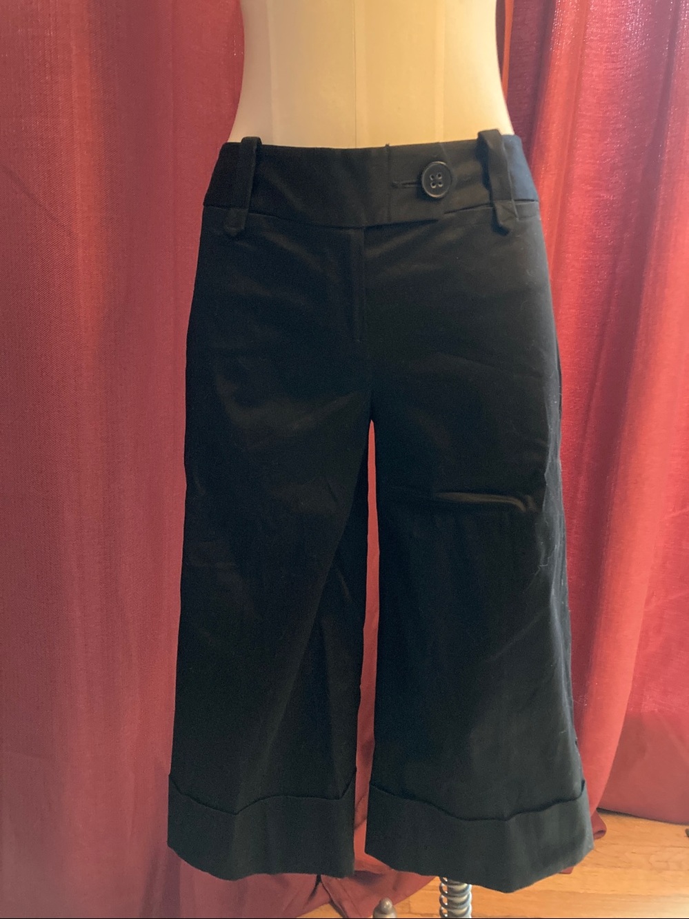 Ann Taylor “Ann” Loft NWT cropped stretch pants, size 2